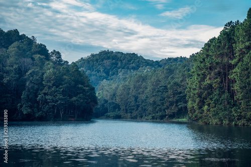Beatiful lake and pine forest © Kittipan