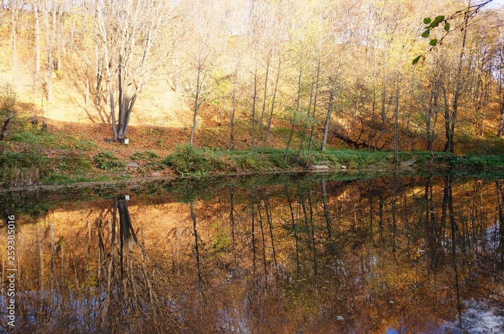 Obraz premium autumn lake