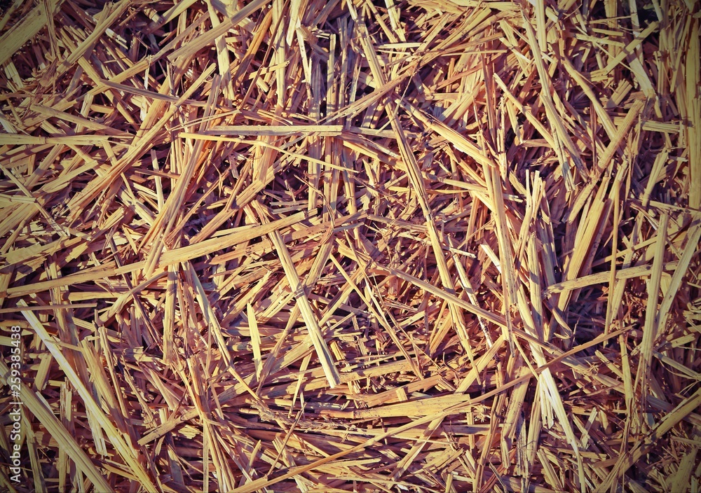 straw and hay in the stable with vintage toned effect