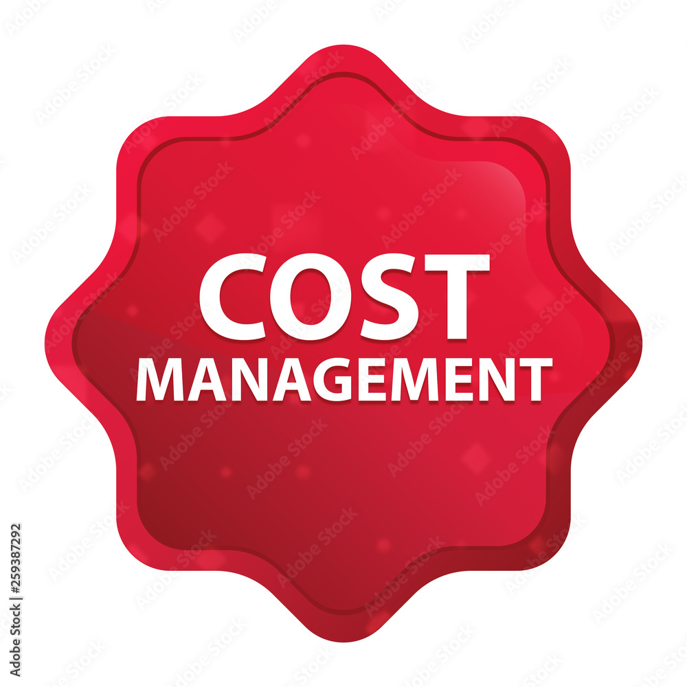 Cost Management misty rose red starburst sticker button Cost Management misty rose red starburst sticker button