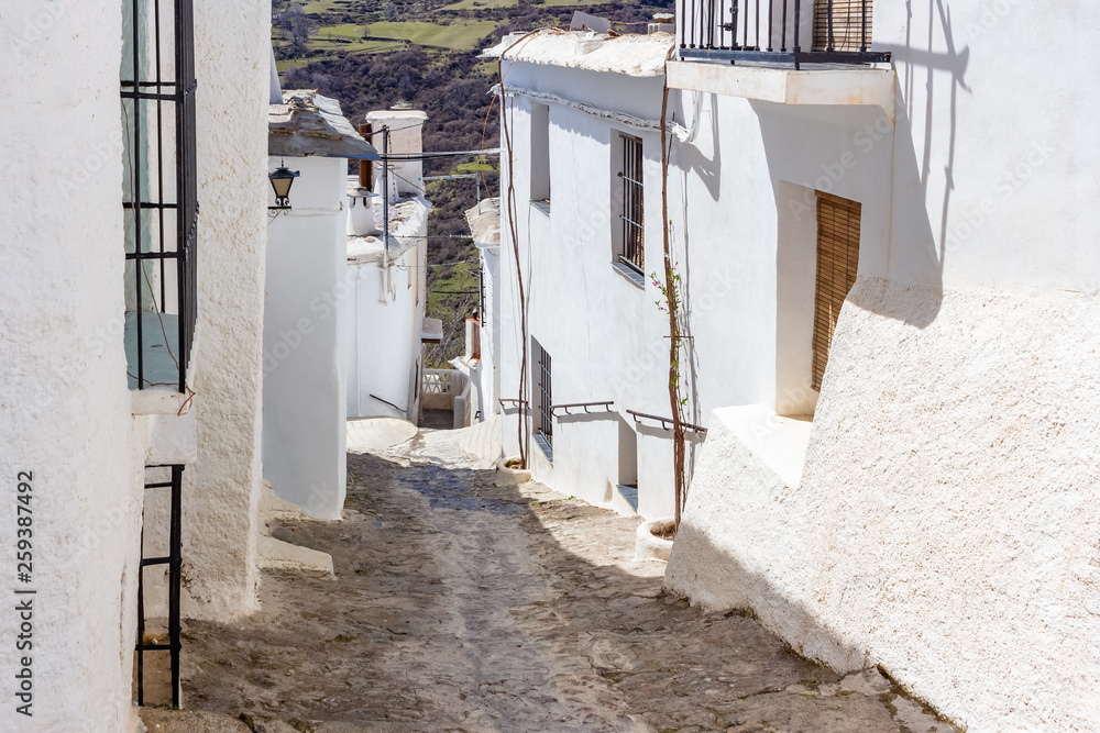 Fototapeta premium Whitewashed houses of Capileira