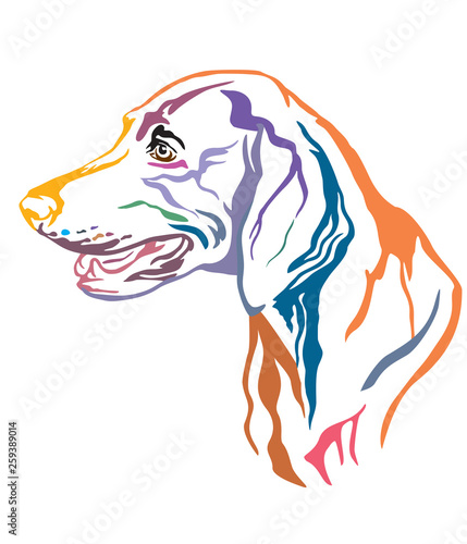 Colorful decorative portrait of Weimaraner Dog vector illustration