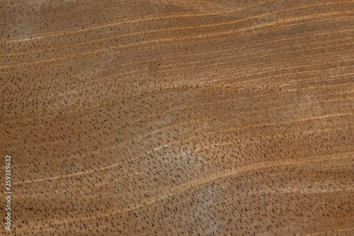 Background of exotic wood grain