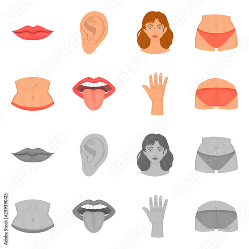 Vector illustration of body and part symbol. Collection of body and anatomy stock vector illustration.