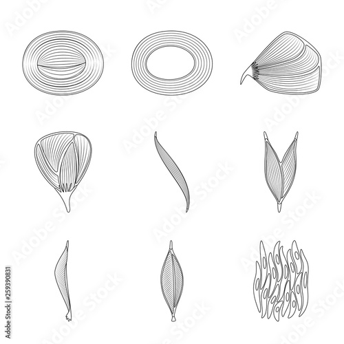 Vector design of fiber and muscular sign. Set of fiber and body stock vector illustration.