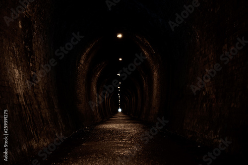 Old brick tunnel. A walkway used to be a railway before.