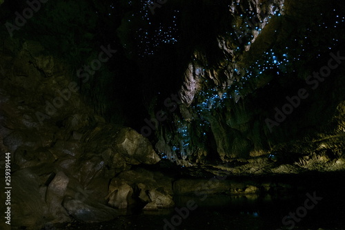 Fotografie Amazing New Zealand Tourist attraction glowworm luminous worms i