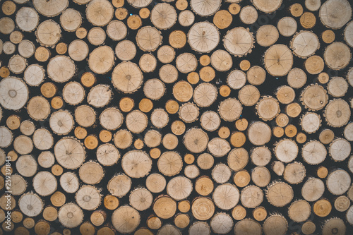 Cut wooden logs in layers Background of arranged heap of fresh logs with clear cuts