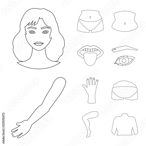 Vector illustration of body and part sign. Collection of body and anatomy stock vector illustration.
