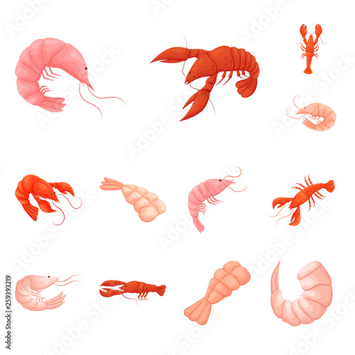 Vector illustration of shrimp and crab sign. Set of shrimp and sea vector icon for stock.