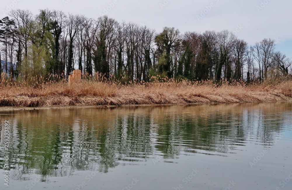 Naturschutzgebiet Rohrspitz im Rheindelta am Bodensee Naturschutzgebiet Rohrspitz im Rheindelta am Bodensee
