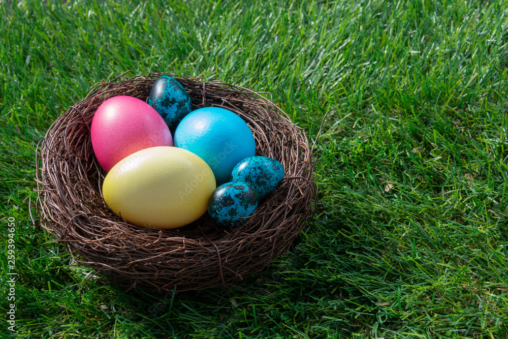 Quail and chicken painted Easter eggs in a nest on green grass Quail and chicken painted Easter eggs in a nest on green grass