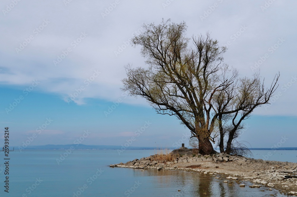 Naturschutzgebiet Rohrspitz im Rheindelta am Bodensee Naturschutzgebiet Rohrspitz im Rheindelta am Bodensee
