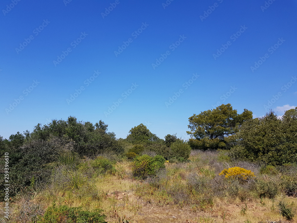 Paeaggio di Sardegna