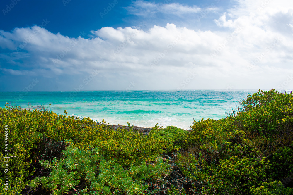 Beautiful landscape, coast of Caribbean Sea against blue Sky. Crystal Clear blue water in Tulum, Mexico Beautiful landscape, coast of Caribbean Sea against blue Sky. Crystal Clear blue water in Tulum, Mexico