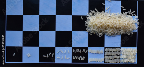 Geometric progression: the legend of chess