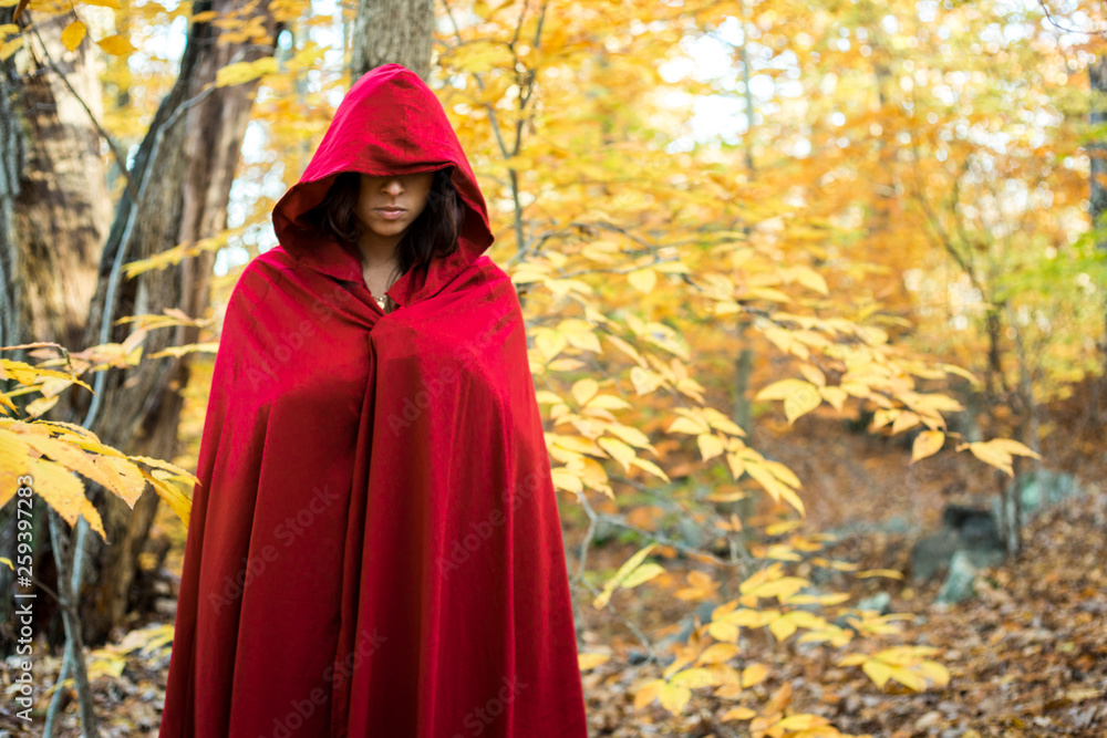 woman in hooded red cloak in autumn Stock Photo | Adobe Stock