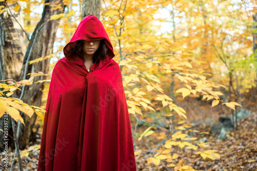 Canvas Print woman in hooded red cloak in autumn