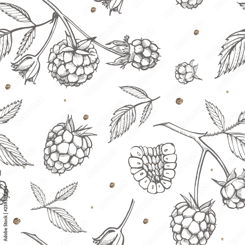 Hand drawn raspberry. Retro sketch style illustration. Perfect for invitation, wedding or greeting cards. Seamless pattern. Hand drawn raspberry. Retro sketch style illustration. Perfect for invitation, wedding or greeting cards. Seamless pattern.