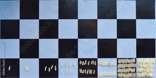 Geometric progression: the legend of chess