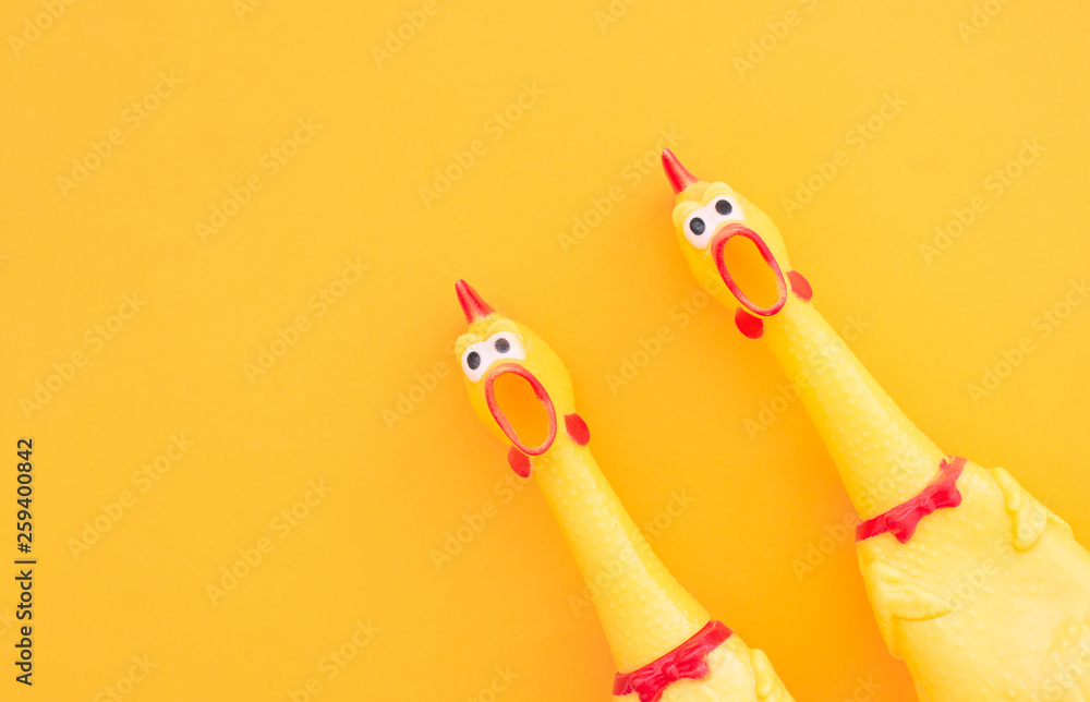 Two Chickens shouting Toy on blue background. Squeaky toy yellow chicken isolated on a yellow background, looking at the camera and screaming. Copyspace