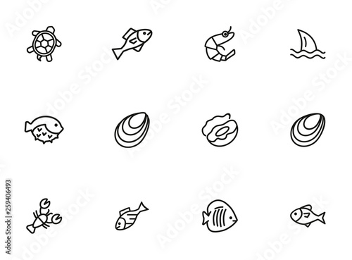 Marine products icon set photo