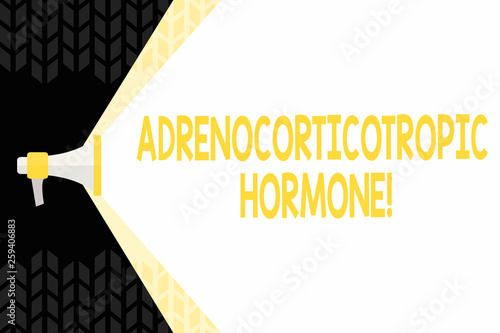 Text sign showing Adrenocorticotropic Hormone. Business photo showcasing hormone secreted by pituitary gland cortex Megaphone Extending the Capacity of Volume Range thru Blank Space Wide Beam photo