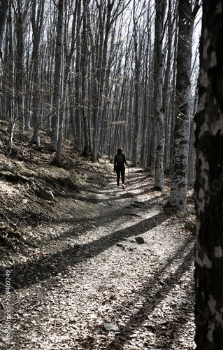 Lonely Girl hiking in the forest with a stick © Baifoworld