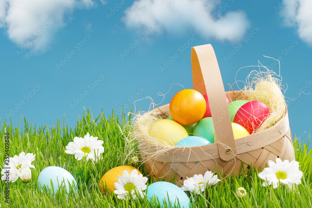 Fototapeta premium Basket with painted Easter eggs on green grass. Easter holiday concept.