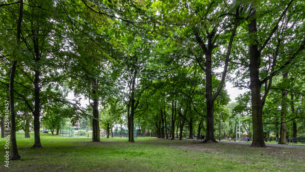 Florian Nowacki Park, Krakow, Poland
