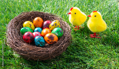 Painted Easter eggs and yellow cute chicks on green grass