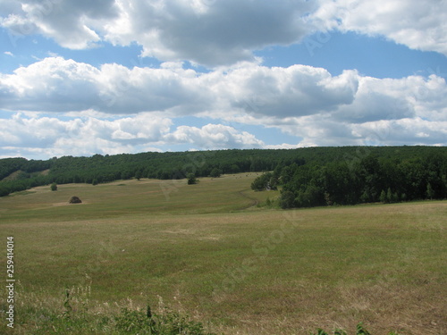 landscape with green field and blue sky