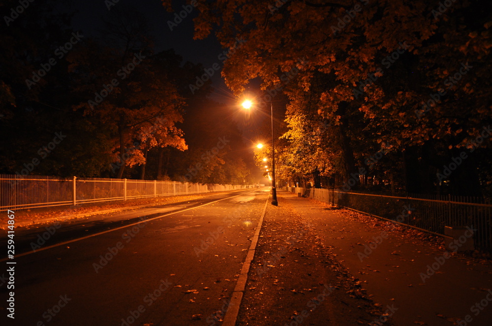 Night photo of a deserted city street with autumn trees and fallen leaves in the light of yellow lanterns