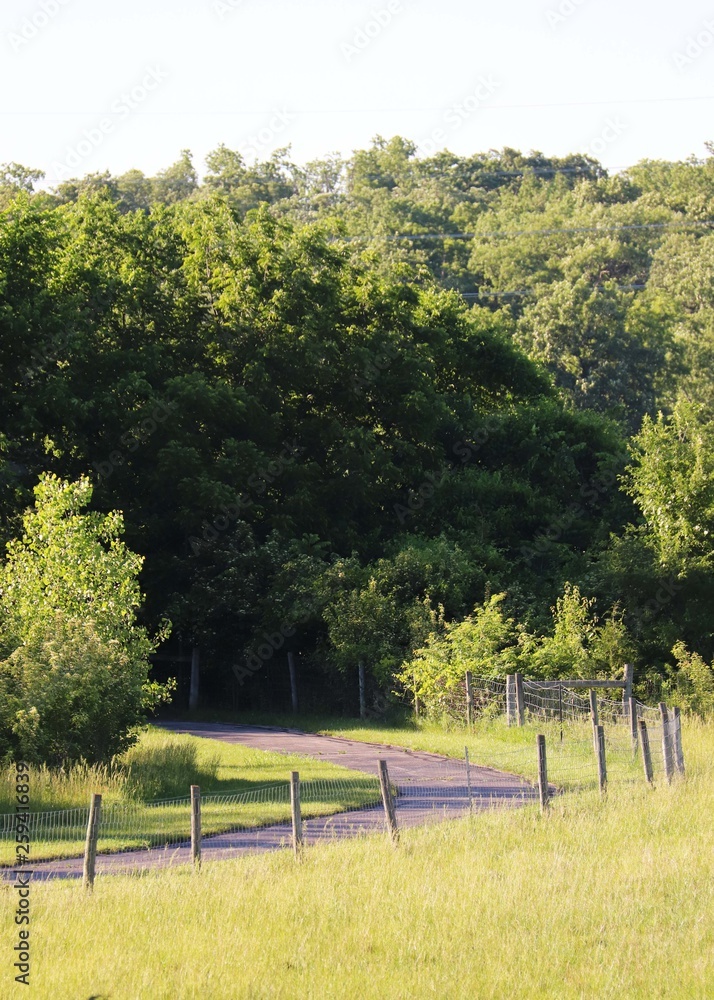 Fototapeta premium PEACEFUL PATH