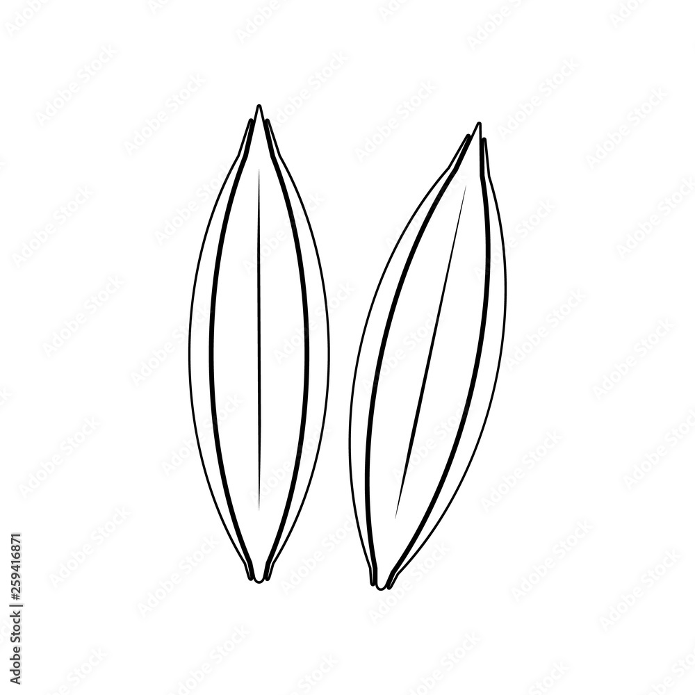 barley icon. Element of nuts for mobile concept and web apps icon. Outline, thin line icon for website design and development, app development barley icon. Element of nuts for mobile concept and web apps icon. Outline, thin line icon for website design and development, app development