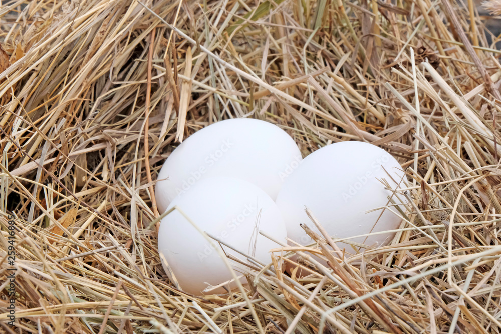 Three eggs on a background of hay, straw. Farming concept. Easter concept. Three eggs on a background of hay, straw. Farming concept. Easter concept.