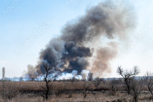 Fire in the steppe in a spring sunny cloudless day. Dark gray smoke frolics in the wind.