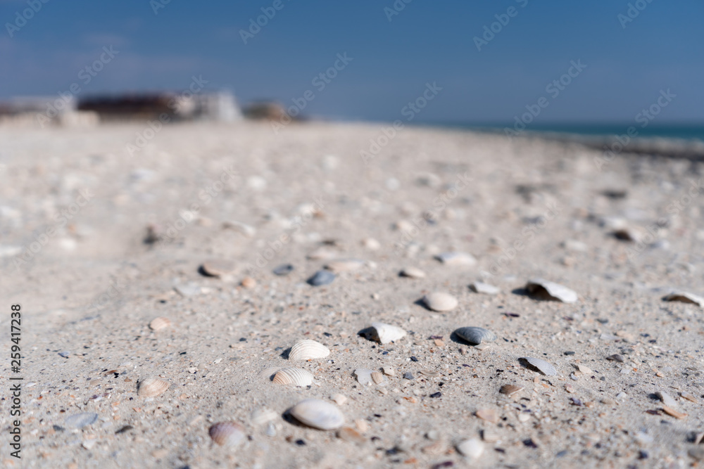 Close-up of the sea sandy-shell beach in the off-season. Close-up of the sea sandy-shell beach in the off-season.
