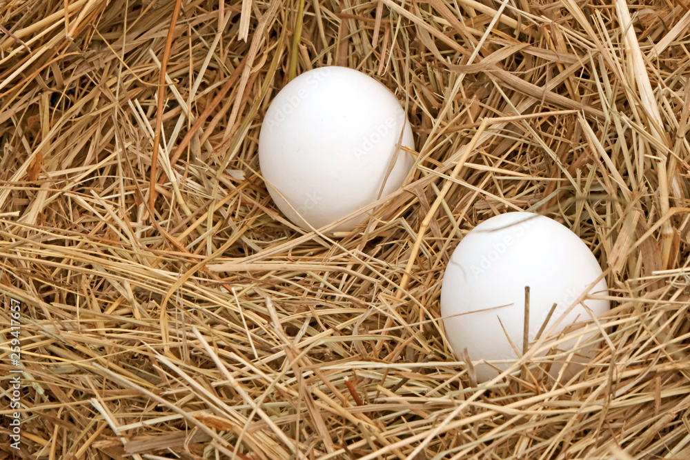 Chicken eggs on a background of hay, straw. Two eggs in the nest. Farming concept. Agriculture. Dietary product. Easter concept. Chicken eggs on a background of hay, straw. Two eggs in the nest. Farming concept. Agriculture. Dietary product. Easter concept.