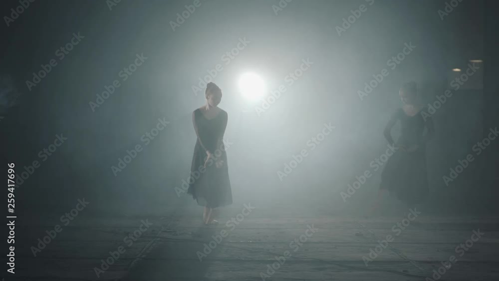 Beautiful ballet dancers shows classic ballet pas in spotlight on black background in studio. Two graceful professional ballerinas dancing elements of classical ballet in the dark. Beautiful ballet dancers shows classic ballet pas in spotlight on black background in studio. Two graceful professional ballerinas dancing elements of classical ballet in the dark.