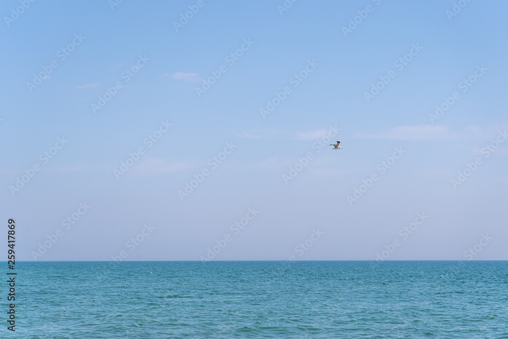 A bird flying over blue sea water against a blue sky