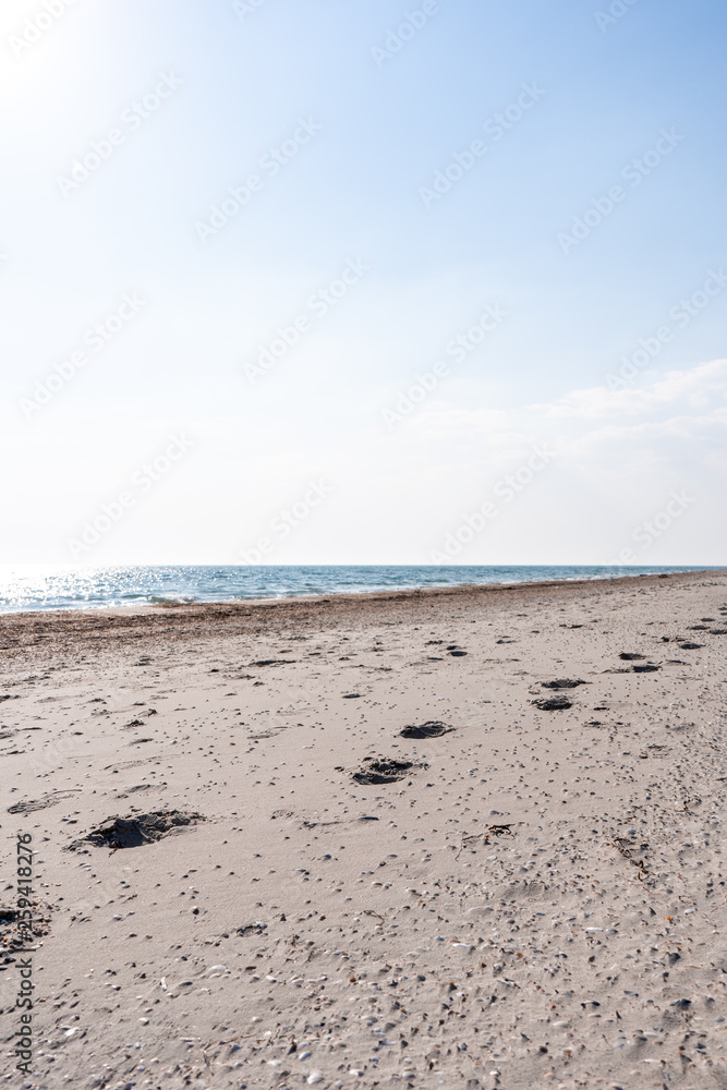 Vertical. Footprints on the sand-shell seashore in the sunny summer day Vertical. Footprints on the sand-shell seashore in the sunny summer day