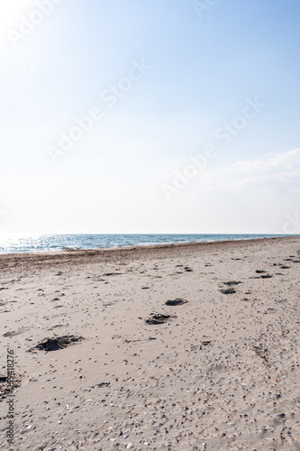 Vertical. Footprints on the sand-shell seashore in the sunny summer day