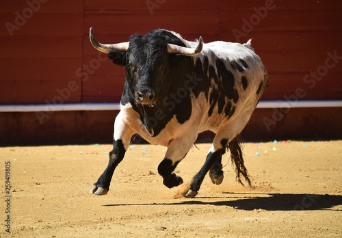 toro españon