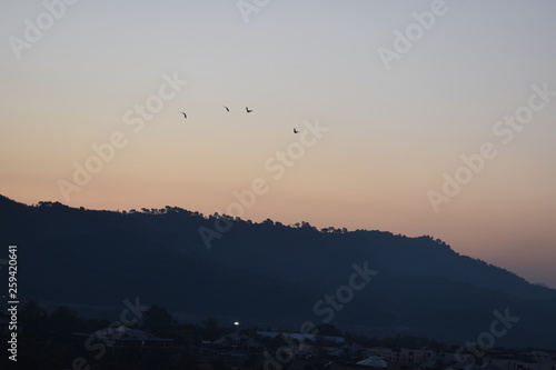 sunset in mountains with birds