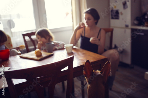 Mom with children and dog in real kitchen