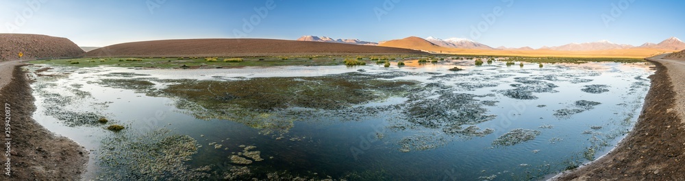 The amazing landscape views at Atacama Desert altiplano, at more than 4,000 masl. Impressive scenery of the desert going to an infinite horizon with lagoons and meadows going to the infinity at sunset