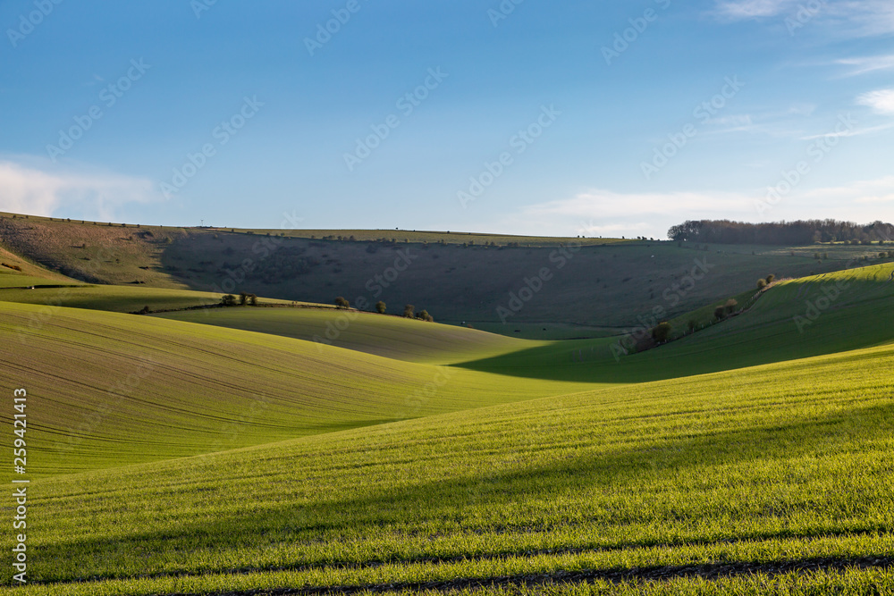 Evening light on a green Sussex landscape, in early spring