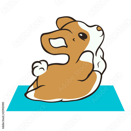 Welsh corgi dog practices yoga vector illustration. Cute corgi puppy in sport. Fluffy Corgi Pembroke, love dogs. Morning exercises on rug. Healthy lifestyle with funny puppy. Corgi lies on rug.