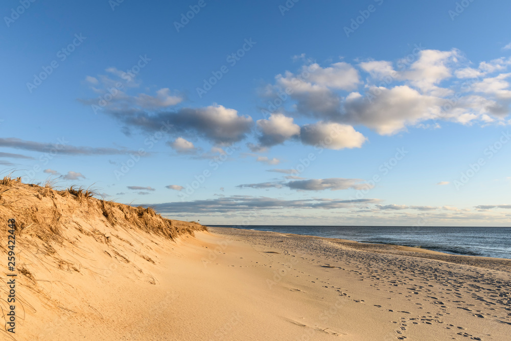Sunny Morning at Beach at Cape Cod National Seashore